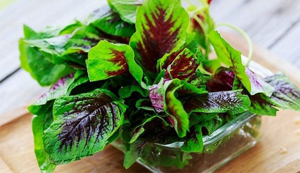 �Ȳ��и��ܳ��� �и����Ȳ��Ƿ�Ӱ��̥��